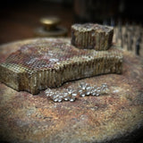 Forglemmigej ørestikker, 3 blomster på række - sølv